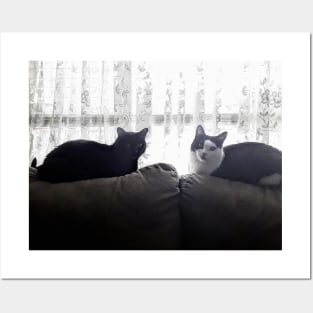 Cats on a couch Posters and Art